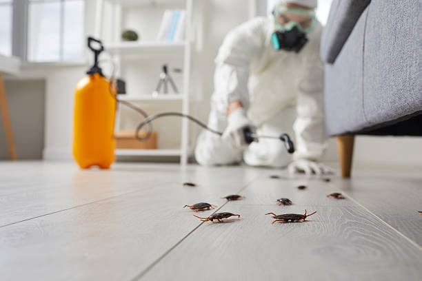 Trusted Rodent Control service in Palouse, WA - Nex Pest Control